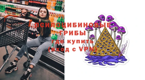 гидра Семёнов