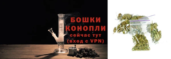 гидра Семёнов