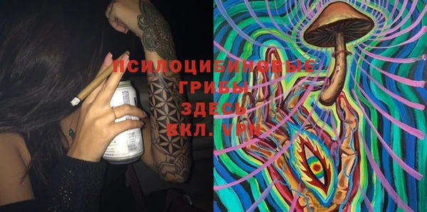 гидра Семёнов