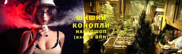 гидра Семёнов