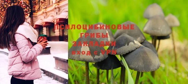 гидра Семёнов