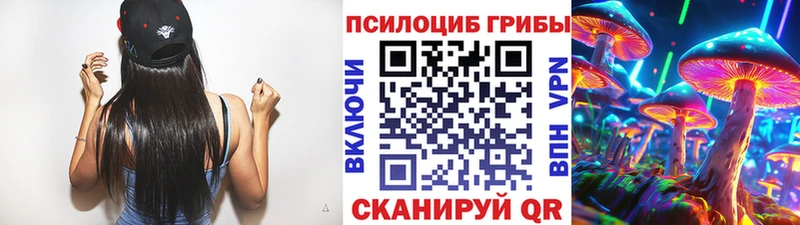 Псилоцибиновые грибы Cubensis  Ахтырский 