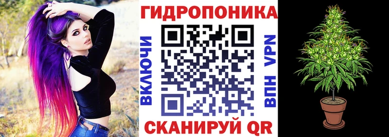 цены   Ахтырский  Каннабис индика 